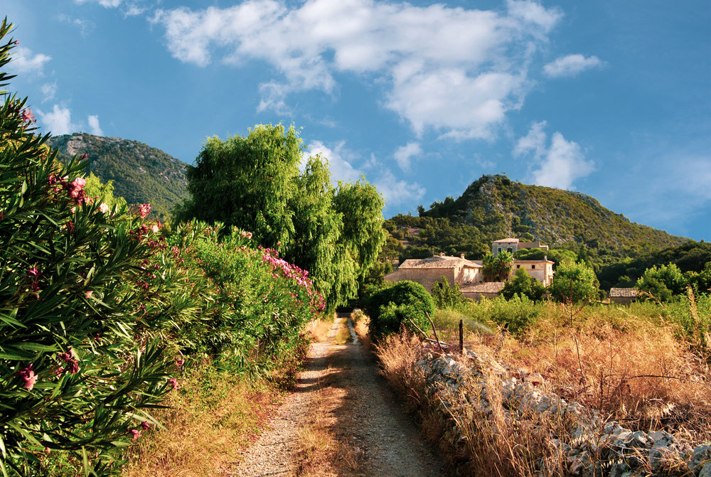 hermoso paisaje en mallorca